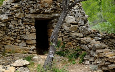 D’où vient l’écopsychothérapie ?